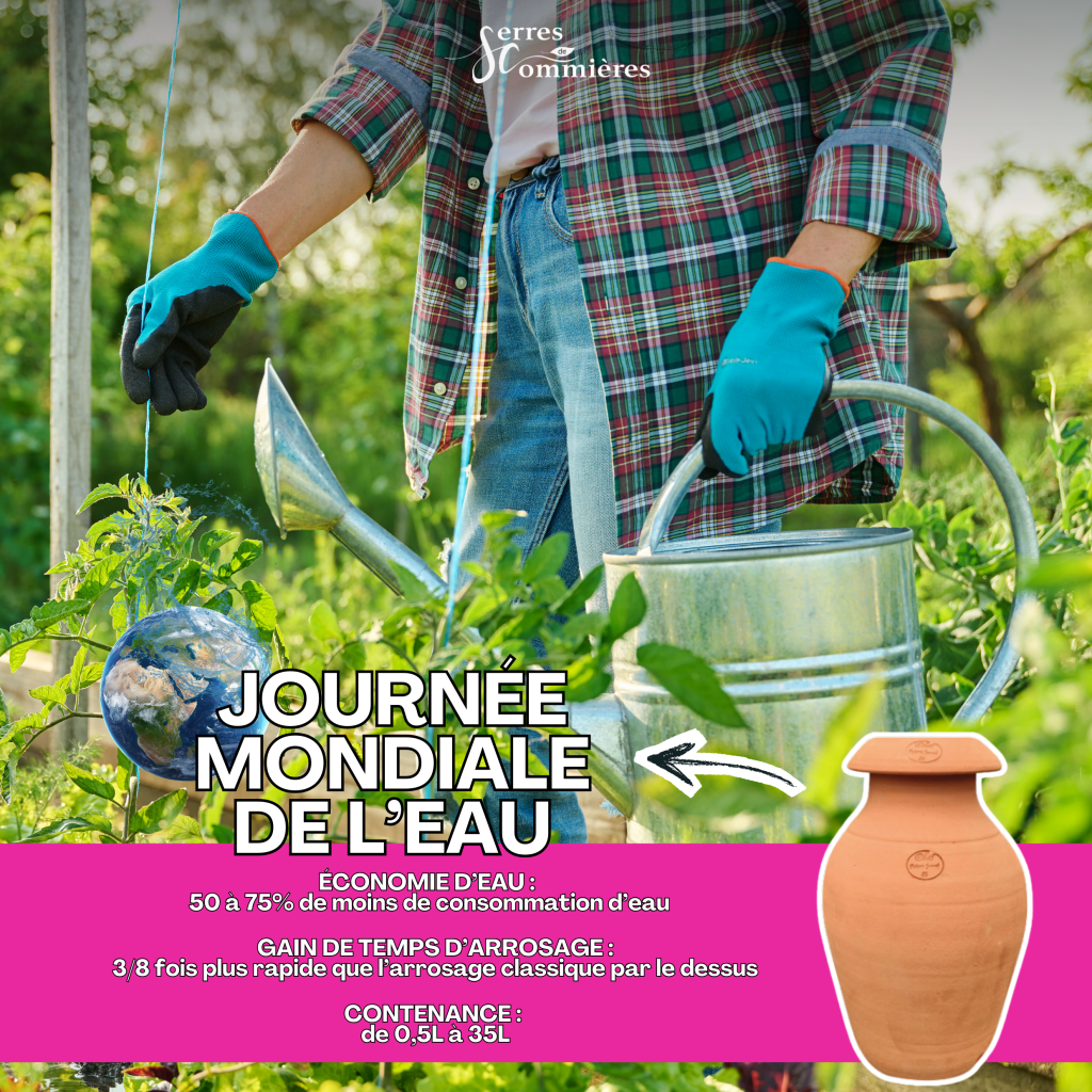 Pour la journée mondiale de l'eau le 21 mars 2026, les Serres de Commières, jardinerie à Roanne vous propose des Ollas permettant de faire des économies d'eau.