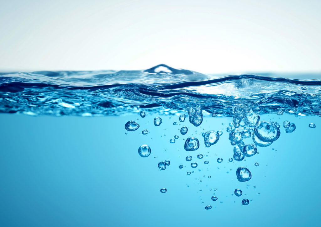 Pour la journée mondiale de l'eau le 21 mars 2026, les Serres de Commières, jardinerie à Roanne vous propose des Ollas permettant de faire des économies d'eau.